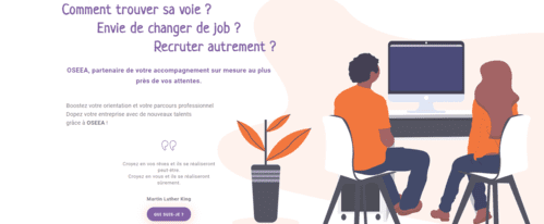 site internet de OSEEA développé par Pierre Faucher